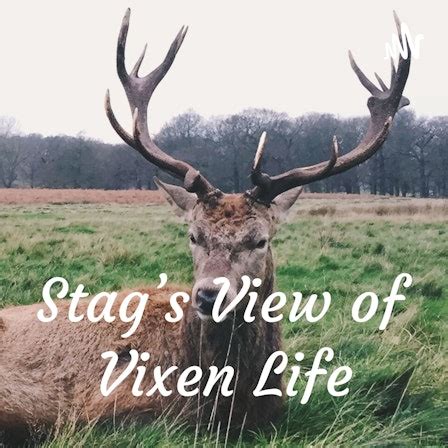 ffm video|StagVixenLife .